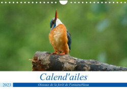Calend'ailes (Calendrier mural 2023 DIN A4 horizontal)