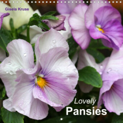 Lovely Pansies (Wall Calendar 2023 300 × 300 mm Square)