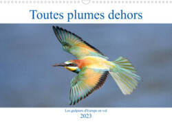 Toutes plumes dehors (Calendrier mural 2023 DIN A3 horizontal)
