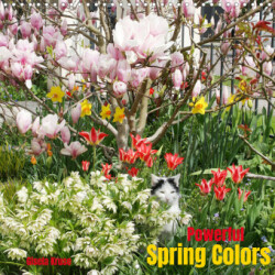 Powerful Spring Colors (Wall Calendar 2023 300 × 300 mm Square)