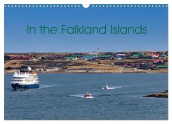 In the Falkland Islands (Wall Calendar 2025 DIN A3 landscape), CALVENDO 12 Month Wall Calendar