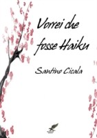 Vorrei Che Fosse Haiku