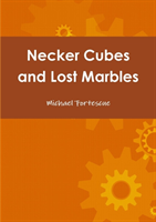 Necker Cubes and Lost Marbles