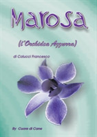 Marosa