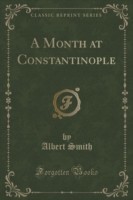 Month at Constantinople (Classic Reprint)