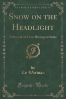 Snow on the Headlight