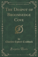 Despot of Broomsedge Cove (Classic Reprint)