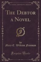 Debtor a Novel (Classic Reprint)