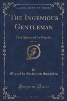 Ingenious Gentleman, Vol. 1 of 4