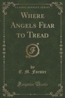 Where Angels Fear to Tread