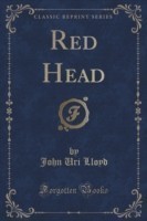 Red Head (Classic Reprint)