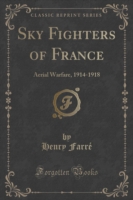 Sky Fighters of France