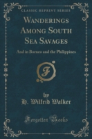 Wanderings Among South Sea Savages