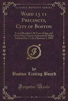 Ward 13 11 Precincts, City of Boston