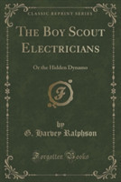 Boy Scout Electricians