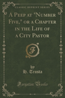 Peep at "Number Five," or a Chapter in the Life of a City Pastor (Classic Reprint)