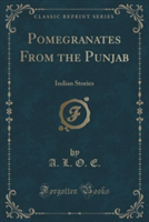 Pomegranates from the Punjab