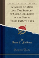 Analyses of Mine and Car Samples of Coal Collected in the Fiscal Years 1916 to 1919 (Classic Reprint)