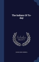 Indians of To-Day