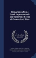 Remarks on Some Fossil Impressions in the Sandstone Rocks of Connecticut River