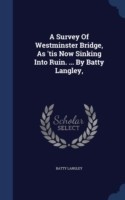 Survey of Westminster Bridge, as 'tis Now Sinking Into Ruin. ... by Batty Langley,