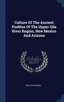 Culture of the Ancient Pueblos of the Upper Gila River Region, New Mexico and Arizona