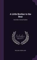 Little Brother to the Bear