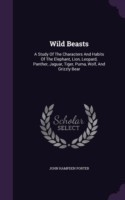 Wild Beasts