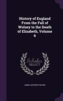 History of England from the Fall of Wolsey to the Death of Elizabeth, Volume 6