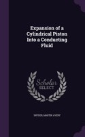 Expansion of a Cylindrical Piston Into a Conducting Fluid