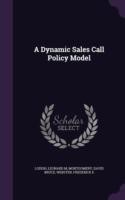 Dynamic Sales Call Policy Model