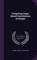 Computing Large-Kernel Convolutions of Images