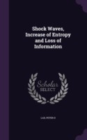 Shock Waves, Increase of Entropy and Loss of Information