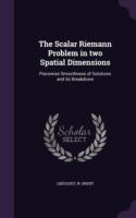 Scalar Riemann Problem in Two Spatial Dimensions