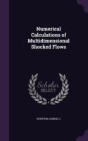 Numerical Calculations of Multidimensional Shocked Flows