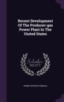 Recent Development of the Producer-Gas Power Plant in the United States