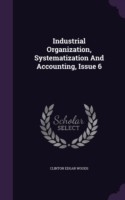 Industrial Organization, Systematization and Accounting, Issue 6