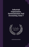 Industrial Organization, Systematization and Accounting, Issue 7