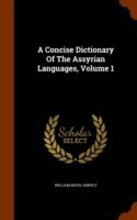 Concise Dictionary of the Assyrian Languages, Volume 1