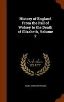 History of England from the Fall of Wolsey to the Death of Elizabeth, Volume 2