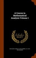 Course in Mathematical Analysis Volume 1