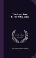 The Green June Beetle Or Fig Eater