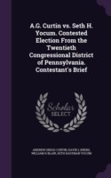 A.G. Curtin vs. Seth H. Yocum. Contested Election from the Twentieth Congressional District of Pennsylvania. Contestant's Brief