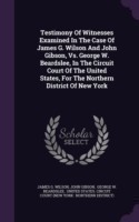 Testimony of Witnesses Examined in the Case of James G. Wilson and John Gibson, vs. George W. Beardslee, in the Circuit Court of the United States, for the Northern District of New York