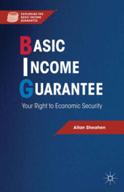 Basic Income Guarantee