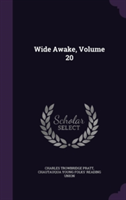 Wide Awake, Volume 20