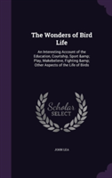 Wonders of Bird Life
