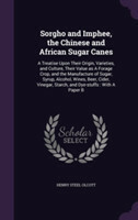 Sorgho and Imphee, the Chinese and African Sugar Canes