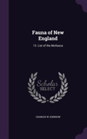 Fauna of New England