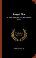 Ragged Dick